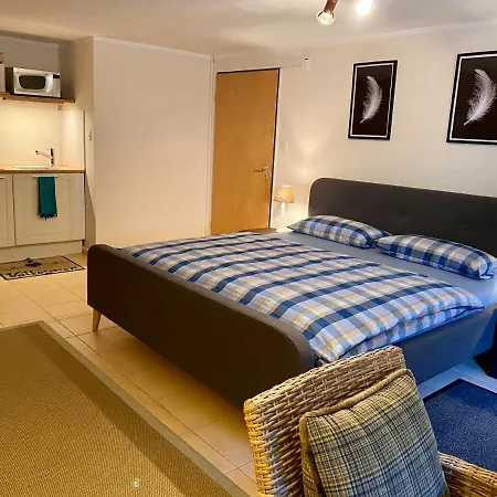 Haus Im Arnikagrund - &